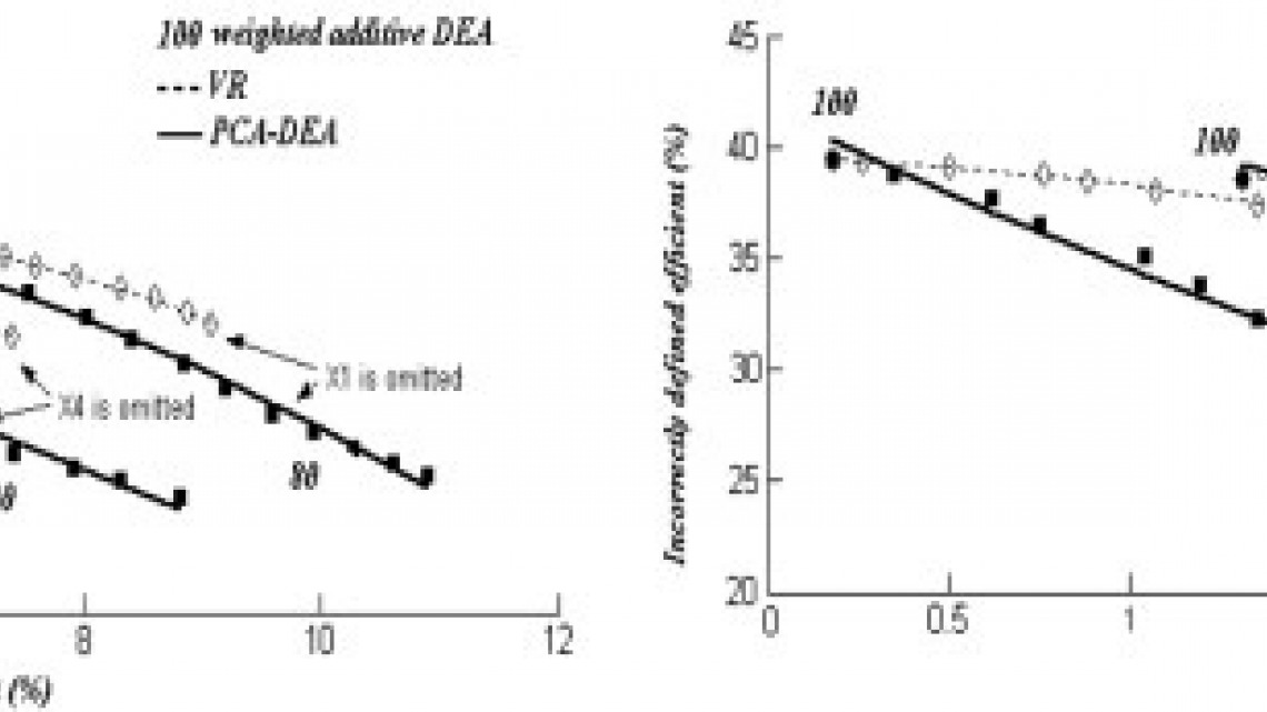 Incorrect efficiency classification with the omission of one input 